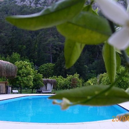 Portalimo Lodge Hotel - Adult Only +12 Çıralı Exteriör bild