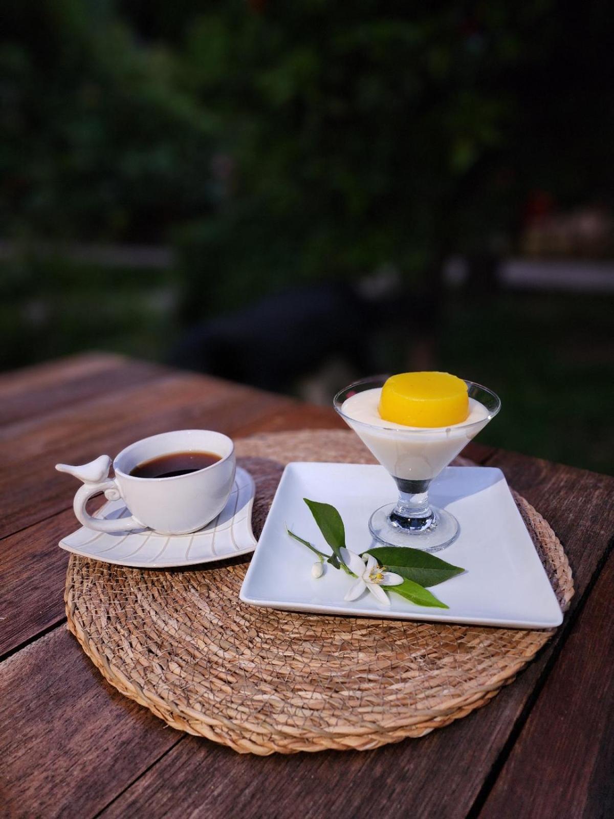 Portalimo Lodge Hotel - Adult Only +12 Çıralı Exteriör bild