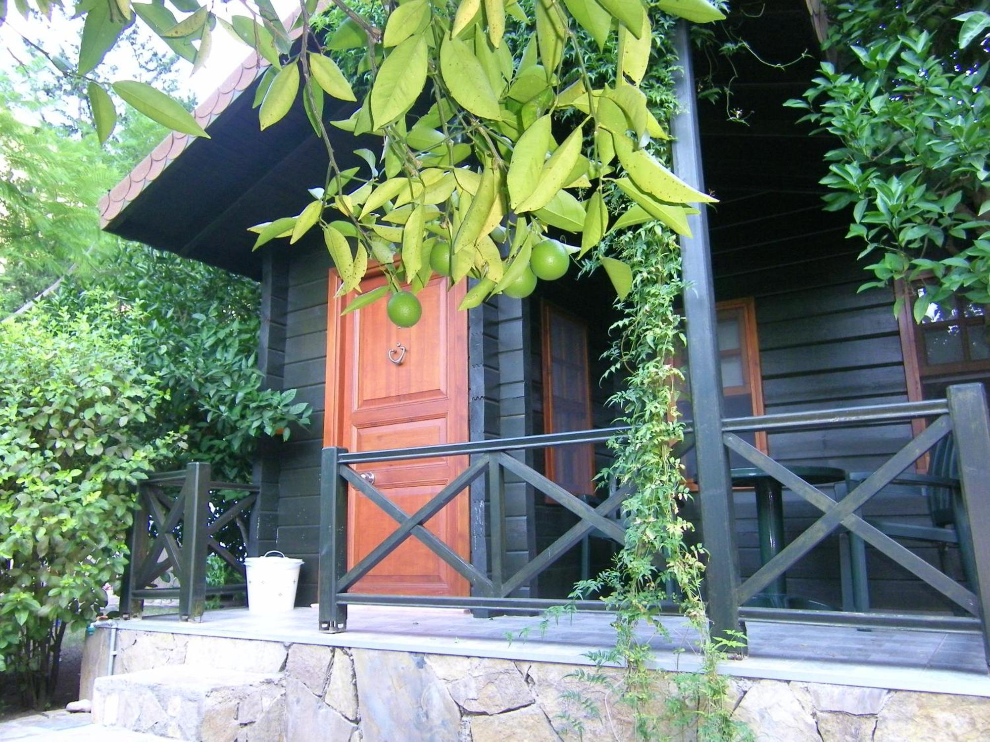 Portalimo Lodge Hotel - Adult Only +12 Çıralı Exteriör bild