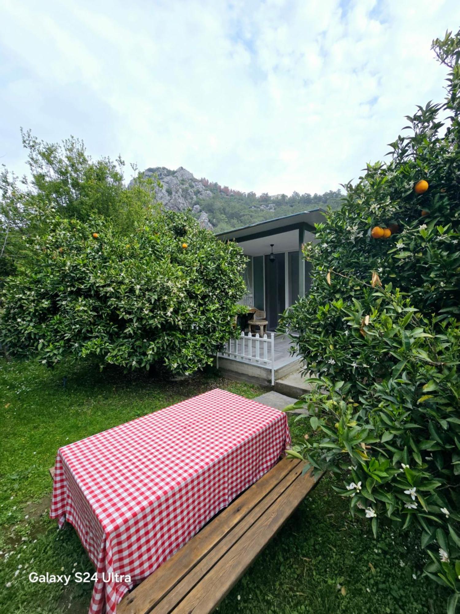 Portalimo Lodge Hotel - Adult Only +12 Çıralı Exteriör bild