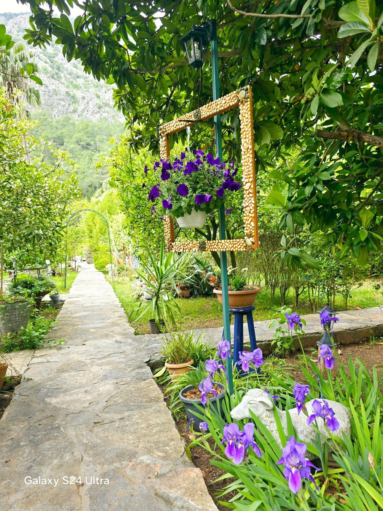 Portalimo Lodge Hotel - Adult Only +12 Çıralı Exteriör bild