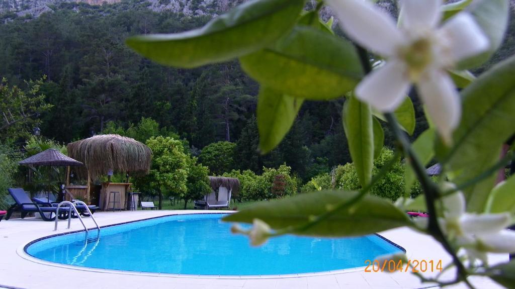 Portalimo Lodge Hotel - Adult Only +12 Çıralı Exteriör bild