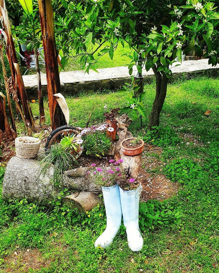 Portalimo Lodge Hotel - Adult Only +12 Çıralı Exteriör bild