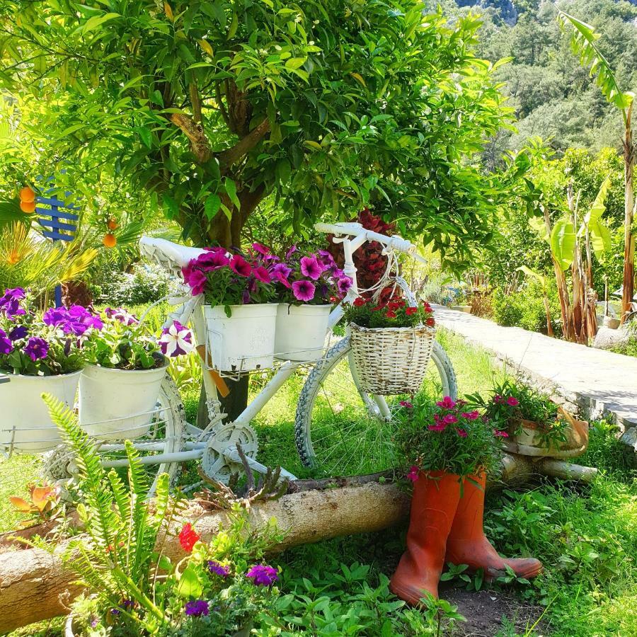 Portalimo Lodge Hotel - Adult Only +12 Çıralı Exteriör bild